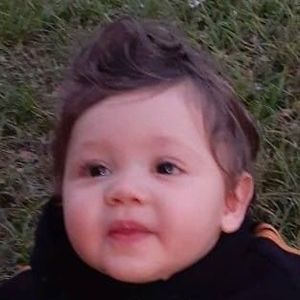 Meet your Posher, Maidanys